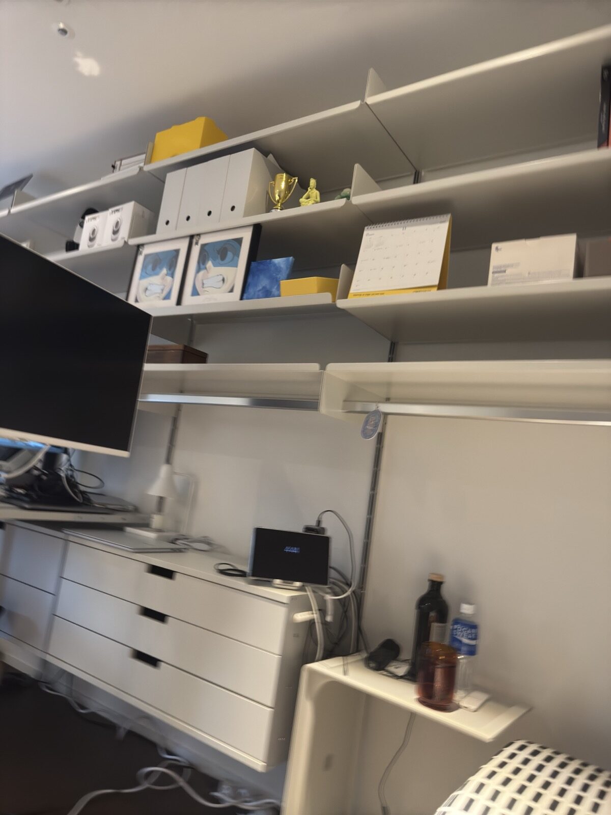 미니멀리즘을 동경하는 맥시멀리스트